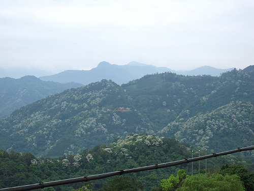 IMG_7390 (by ShuLin) IMG_7390 (by ShuLin)
