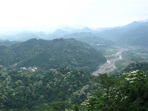 IMG_7393 (by ShuLin) IMG_7393 (by ShuLin)