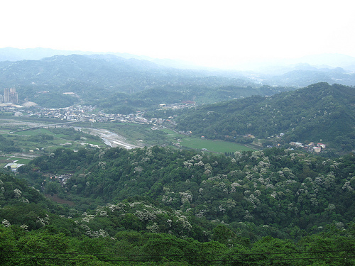 IMG_7394 (by ShuLin) IMG_7394 (by ShuLin)