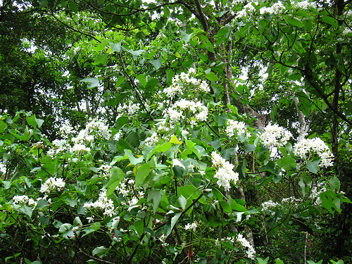 IMG_7428 (by ShuLin) IMG_7428 (by ShuLin)