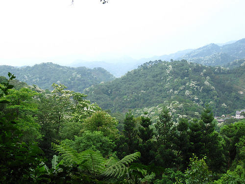 IMG_7440 (by ShuLin) IMG_7440 (by ShuLin)