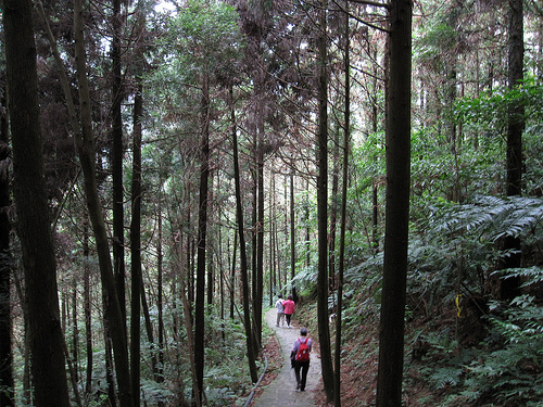 IMG_7446 (by ShuLin) IMG_7446 (by ShuLin)