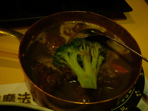 DSCN8484 (by ShuLin) DSCN8484 (by ShuLin)