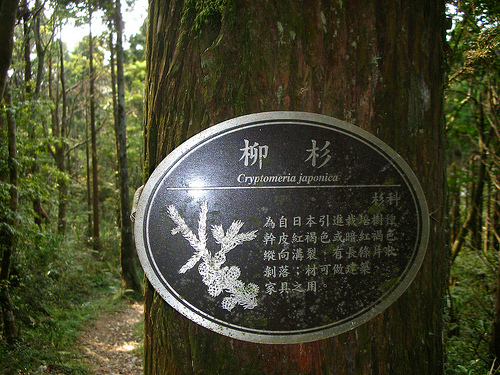 DSCN8345 (by ShuLin) DSCN8345 (by ShuLin)