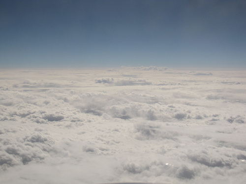 IMG_6204 (by ShuLin) IMG_6204 (by ShuLin)