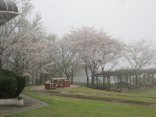 IMG_6220 (by ShuLin) IMG_6220 (by ShuLin)