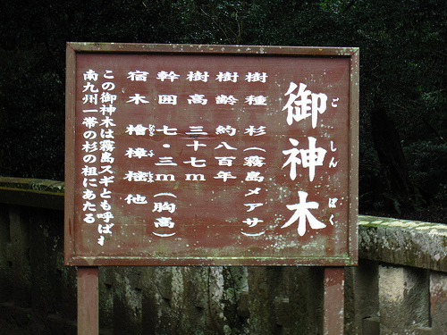 IMG_6246 (by ShuLin) IMG_6246 (by ShuLin)