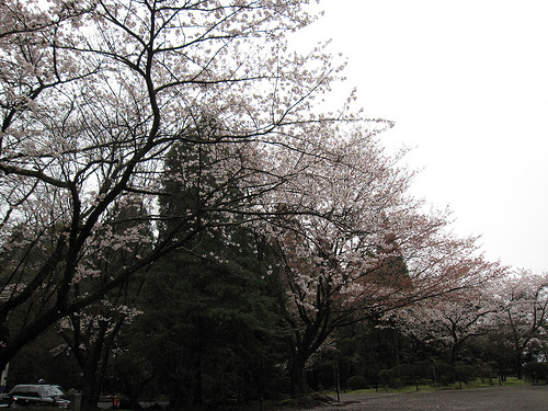 IMG_6252 (by ShuLin) IMG_6252 (by ShuLin)