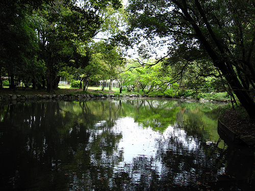 IMG_6273 (by ShuLin) IMG_6273 (by ShuLin)