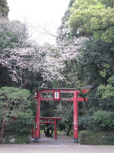 IMG_6285 (by ShuLin) IMG_6285 (by ShuLin)