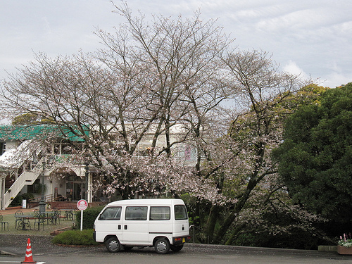 IMG_6288 (by ShuLin) IMG_6288 (by ShuLin)