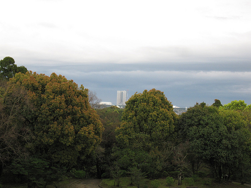 IMG_6310 (by ShuLin) IMG_6310 (by ShuLin)