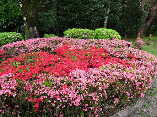 IMG_6324 (by ShuLin) IMG_6324 (by ShuLin)