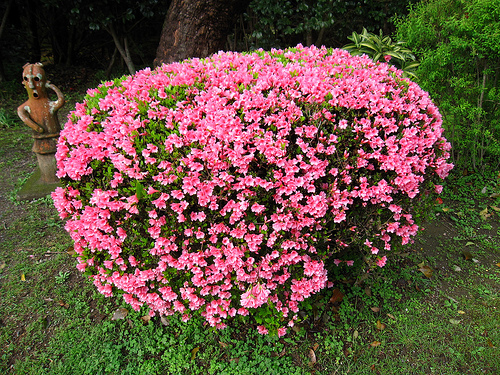 IMG_6325 (by ShuLin) IMG_6325 (by ShuLin)