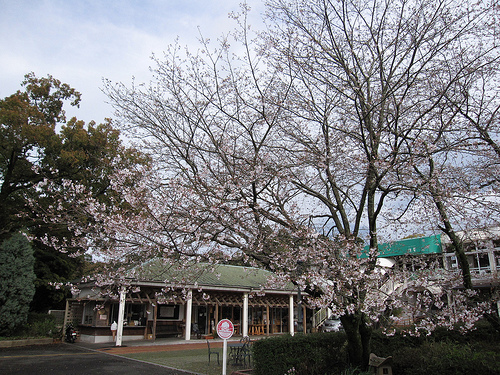 IMG_6335 (by ShuLin) IMG_6335 (by ShuLin)