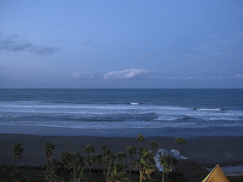 IMG_6358 (by ShuLin) IMG_6358 (by ShuLin)
