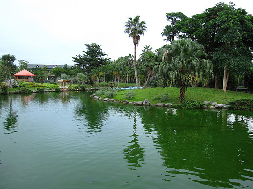 怡園風景 (by ShuLin) 怡園風景 (by ShuLin)