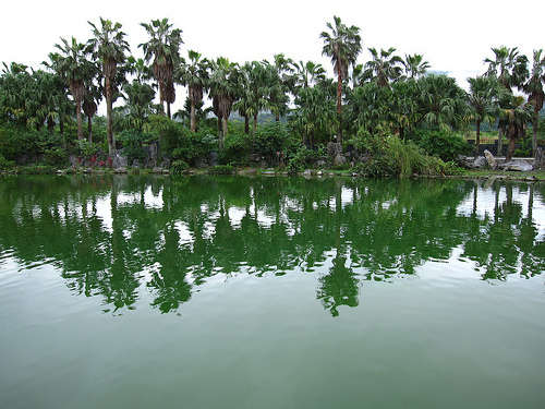 怡園風景 (by ShuLin) 怡園風景 (by ShuLin)