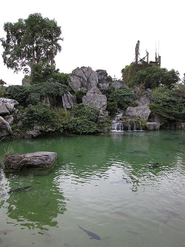 怡園風景 (by ShuLin) 怡園風景 (by ShuLin)