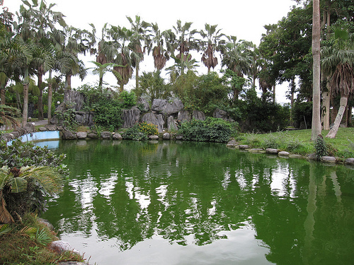 怡園風景 (by ShuLin) 怡園風景 (by ShuLin)