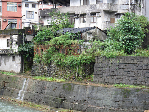 廢棄戲院 (by ShuLin) 廢棄戲院 (by ShuLin)