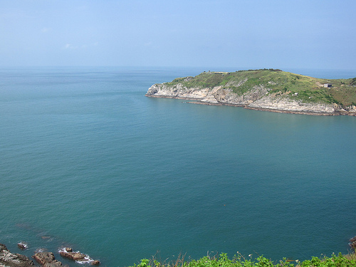 鱷魚島 (by ShuLin) 鱷魚島 (by ShuLin)