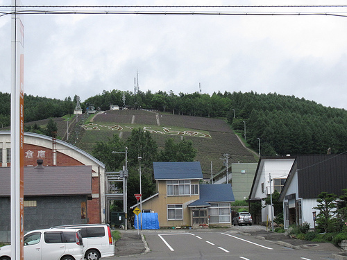 中富良野町 北星山町營薰衣草園 (by ShuLin)