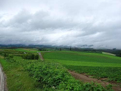 拼布之路風景 (by ShuLin)