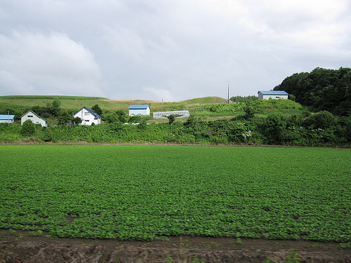 Norokko Train上拍風景 (by ShuLin)