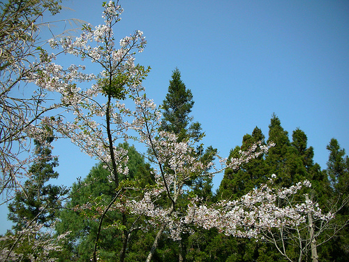 沼平公園 (by ShuLin)