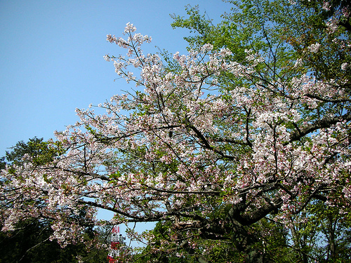沼平公園 (by ShuLin) 沼平公園 (by ShuLin)