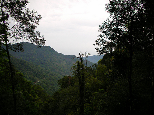 鎮西堡步道