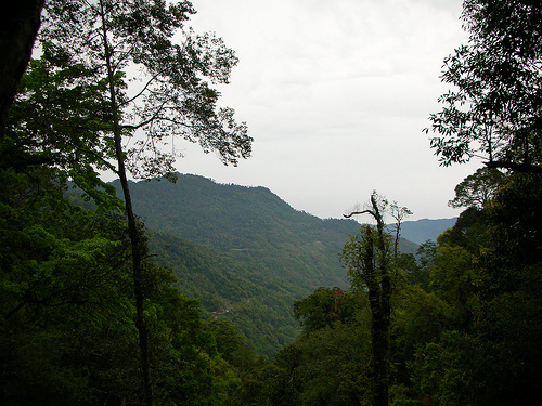 鎮西堡步道