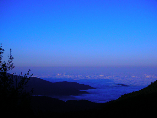 雲海