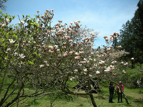 木蘭園