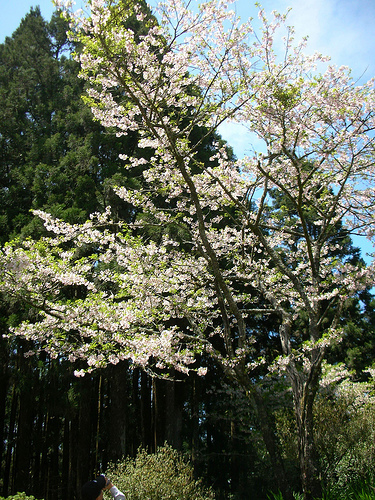 木蘭園