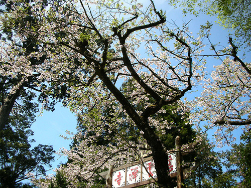 慈雲禪寺