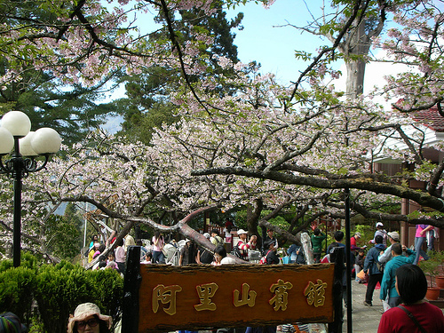 阿里山賓館前