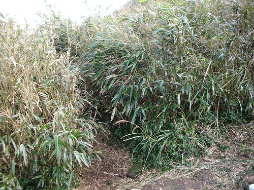 凱達格蘭遺址入口 凱達格蘭遺址入口