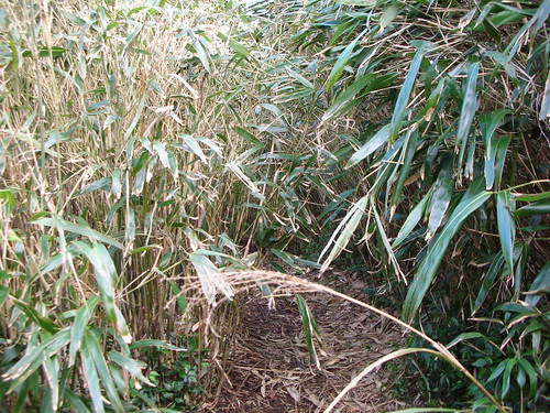 凱達格蘭遺址入口 凱達格蘭遺址入口