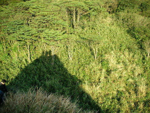 凱達格蘭遺址頂端往下拍 凱達格蘭遺址頂端往下拍