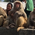 Pashupatinath