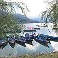 Fewa Lake