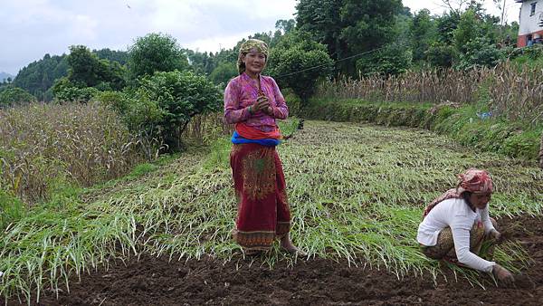 Asha women: Jasmaya didi in the farm