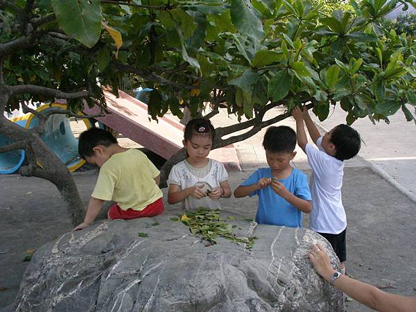 慈心華德福幼兒園