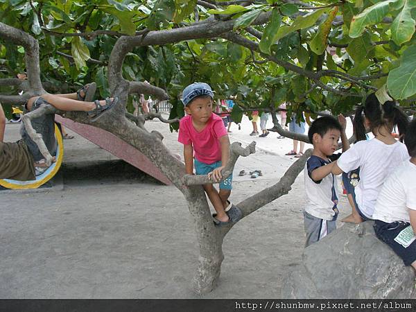 慈心華德福幼兒園