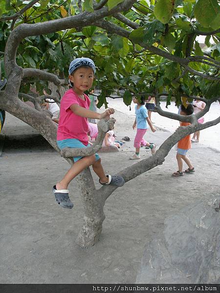 慈心華德福幼兒園