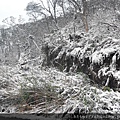 山上下雪