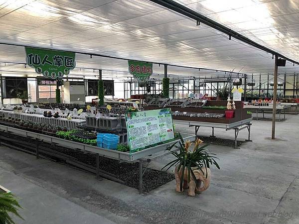 41990492_306031206842296_5339746355931774976_n.jpg 41990492_306031206842296_5339746355931774976_n.jpg