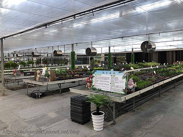 41991551_563392184119292_6235889285082382336_n.jpg 41991551_563392184119292_6235889285082382336_n.jpg